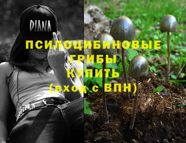 кристаллы Бородино