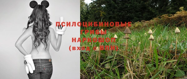 кристаллы Бородино