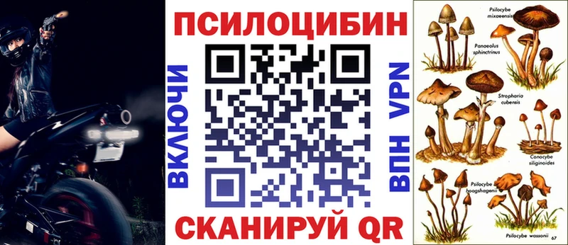 площадка формула Белгород Псилоцибиновые грибы мицелий где можно купить наркотик